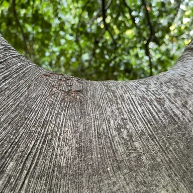 09/18/2025 part two: heavy&nbsp;breath